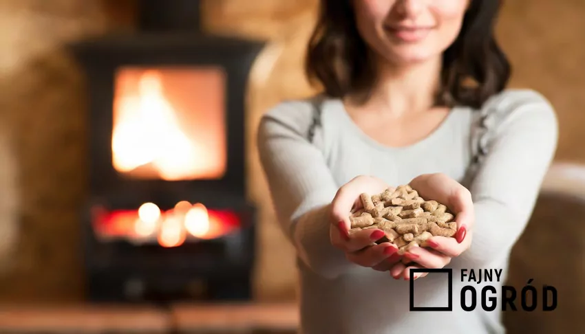 kobieta trzyma w dłoniach pellet