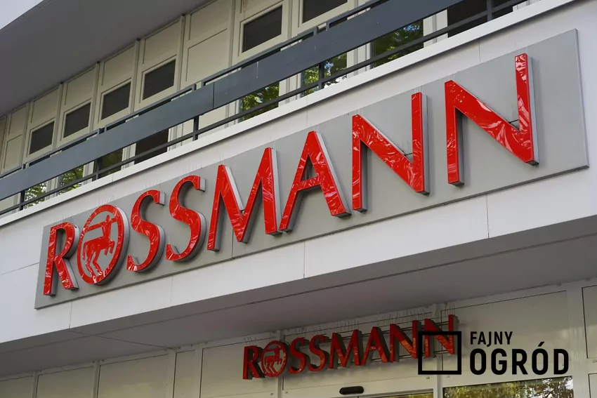 W Rossmannie dużo ciekawych promocji kultowych zapachów Rossmann