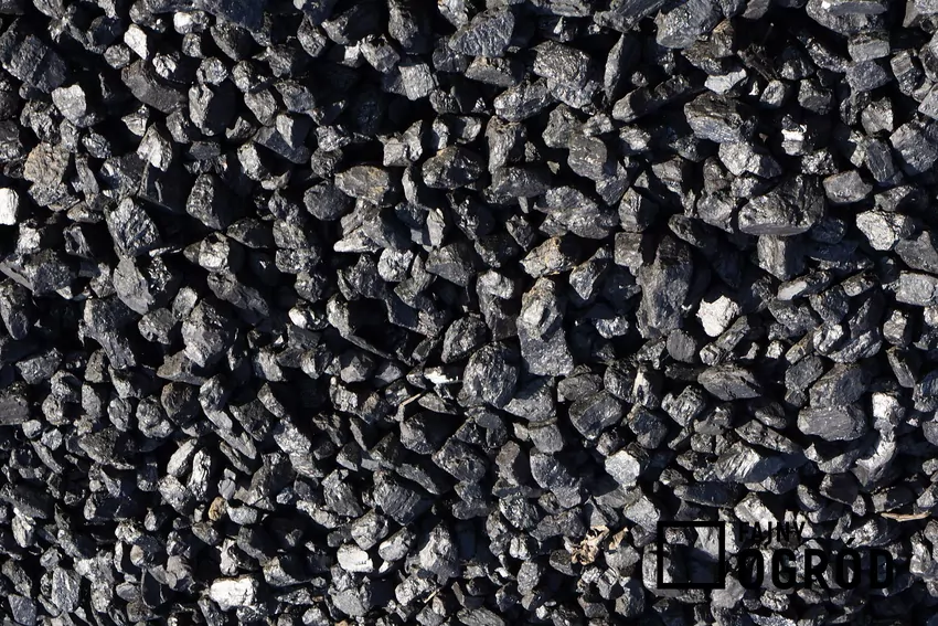 Spowiedź sprzedawcy węgla