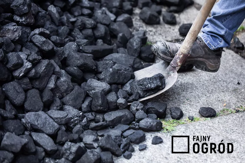 węgiel