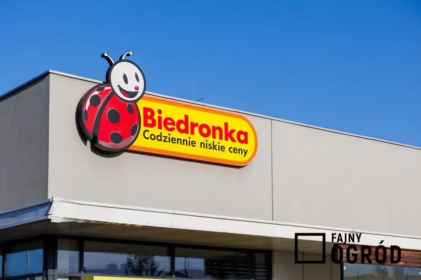 Przegląd gazetki Biedronki z dn. 2-7.03 Biedronka