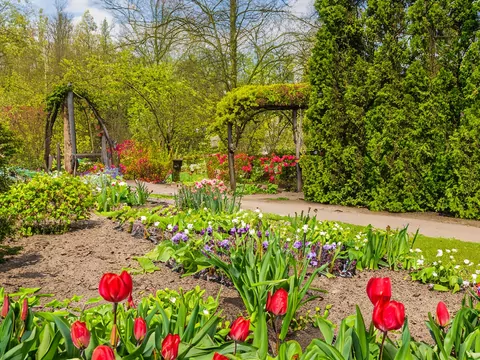 Pierwsze oznaki wiosny: jak rozpoznać