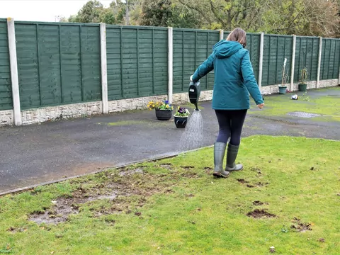 Olejek neem na pędraki w trawniku