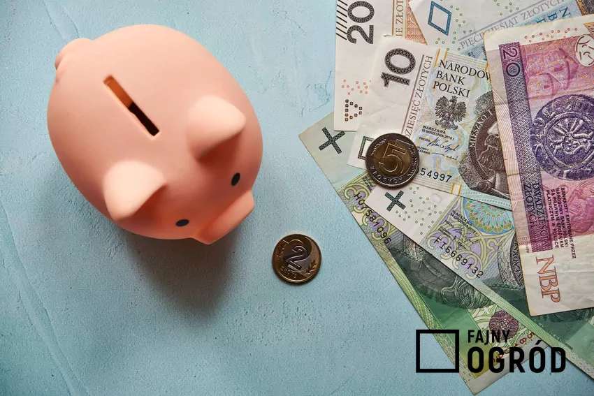 skarbonka, polskie pieniądze