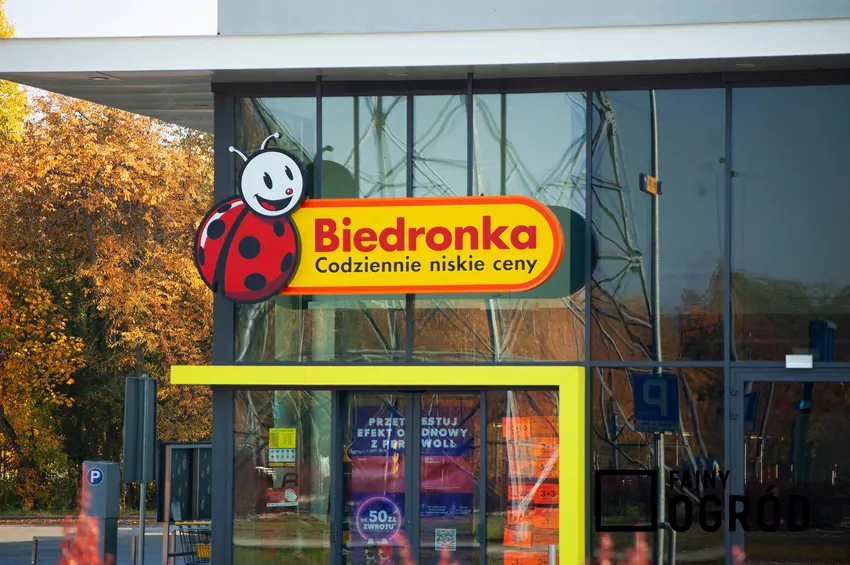 Biedronka