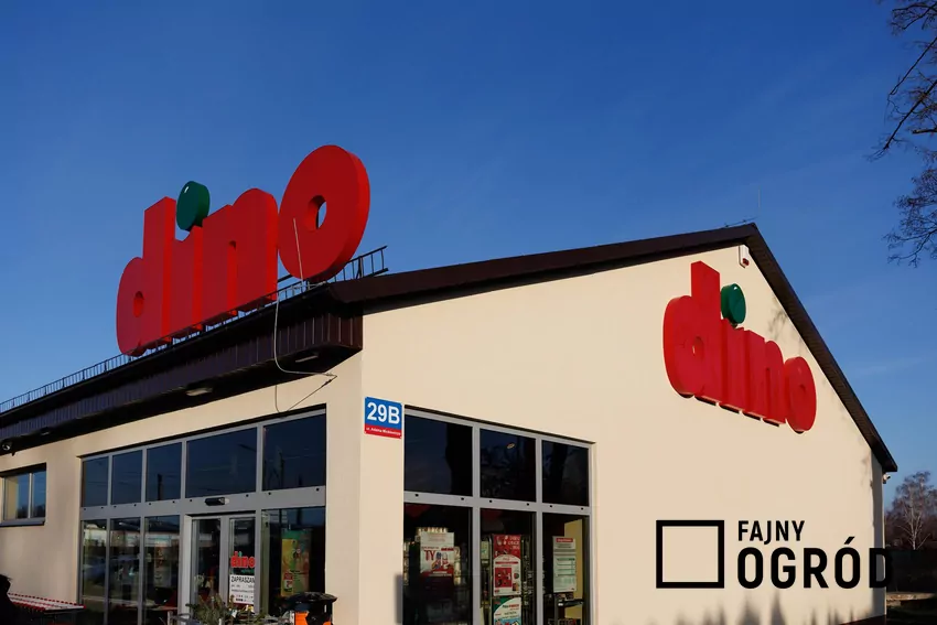 Aktualnie to nie Dino ma najwięcej sklepów w Polsce Dino