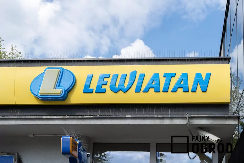 Obecnie w Polsce jest najwięcej sklepów sieci Lewiatan Sklep Lewiatan