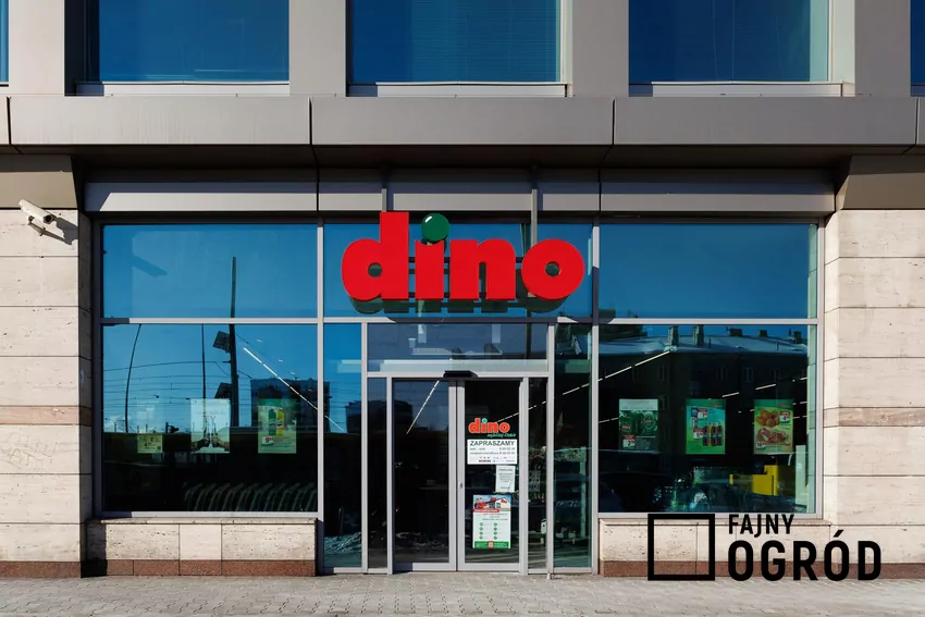 Sklep Dino