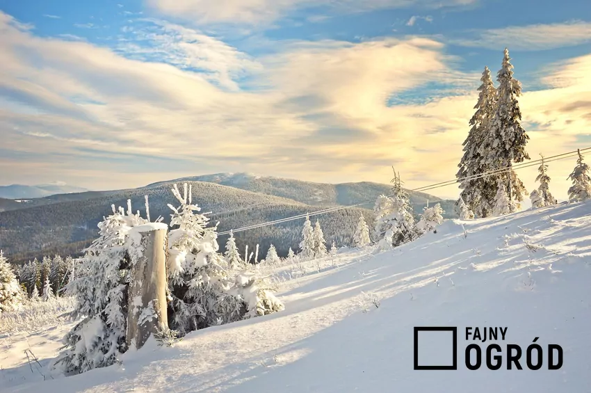 Pokrywa śnieżna w górach