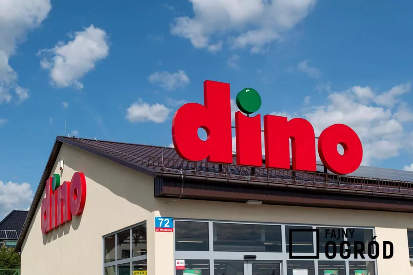 Przegląd gazetki Dino z dn. 11-17.03 Sklep Dino