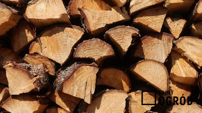 Szczapy drewna opałowego