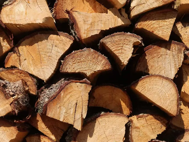 Drewno opałowe - ceny w marcu 2026