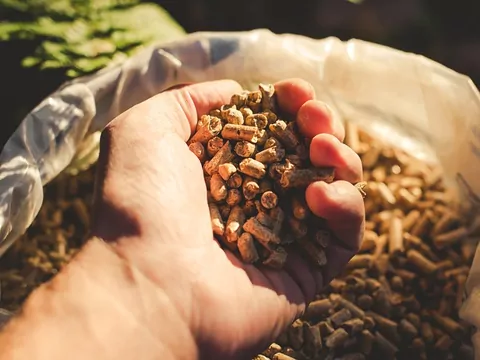 Dlaczwgo pellet puchnie i się rozpada?