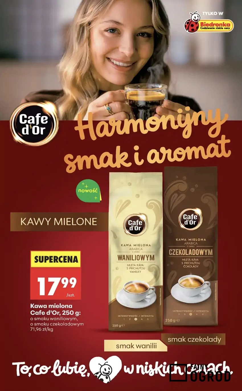 Promocje w Biedronce