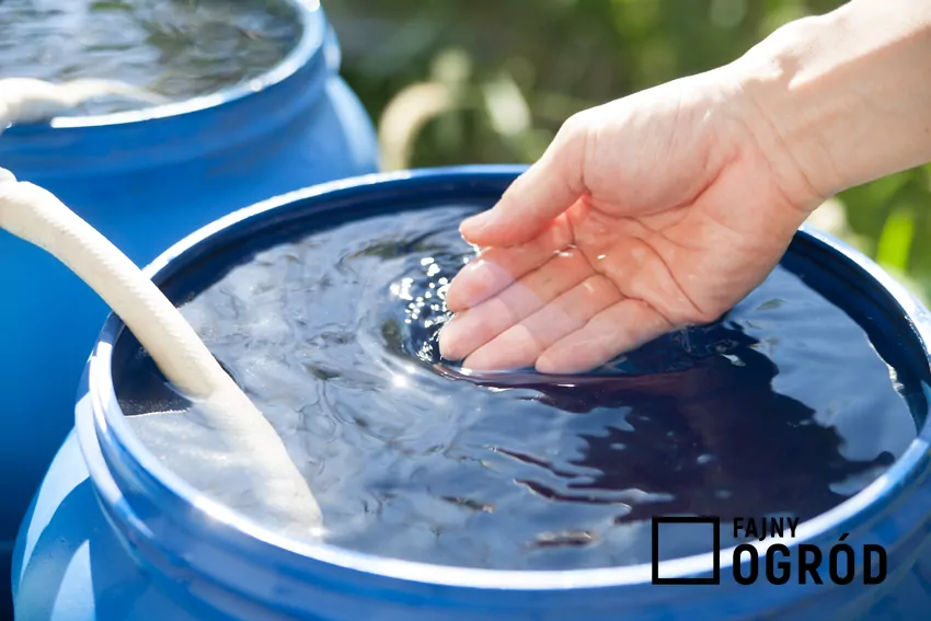 Kary za rynny podłączone do kanalizacji