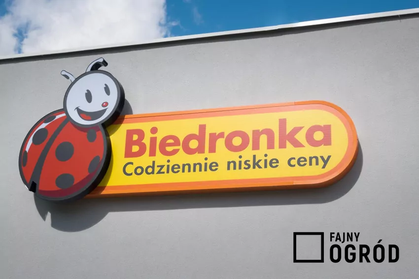 Przegląd gazetki Biedronki z dn. 16-21.03 Biedronka