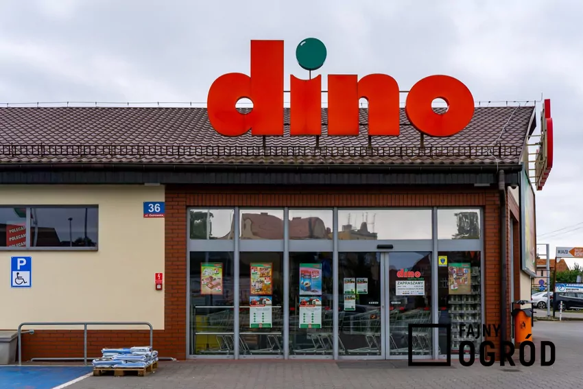 Dino