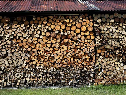 Brzoza jako drewno kominkowe