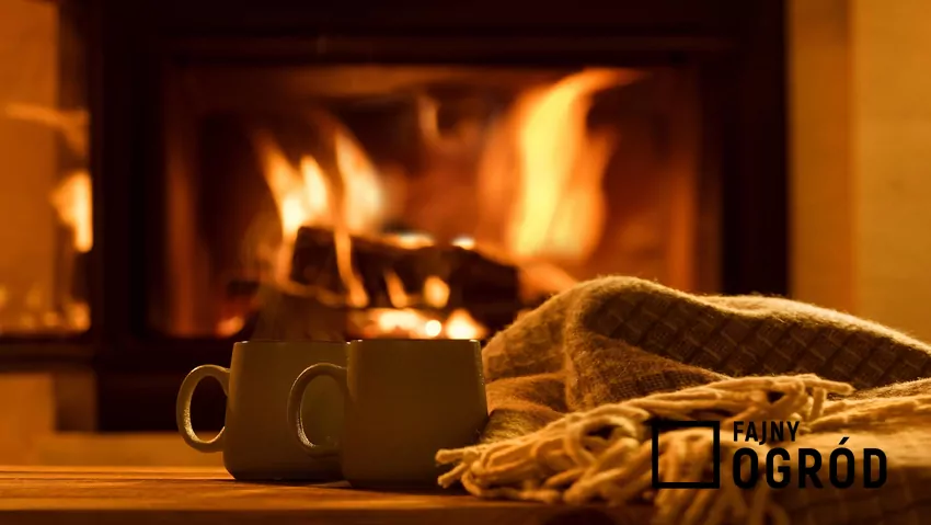 Jednym z największych atutów tego drewna jest płomień – jasny, dynamiczny i równomierny Ogień w kominku