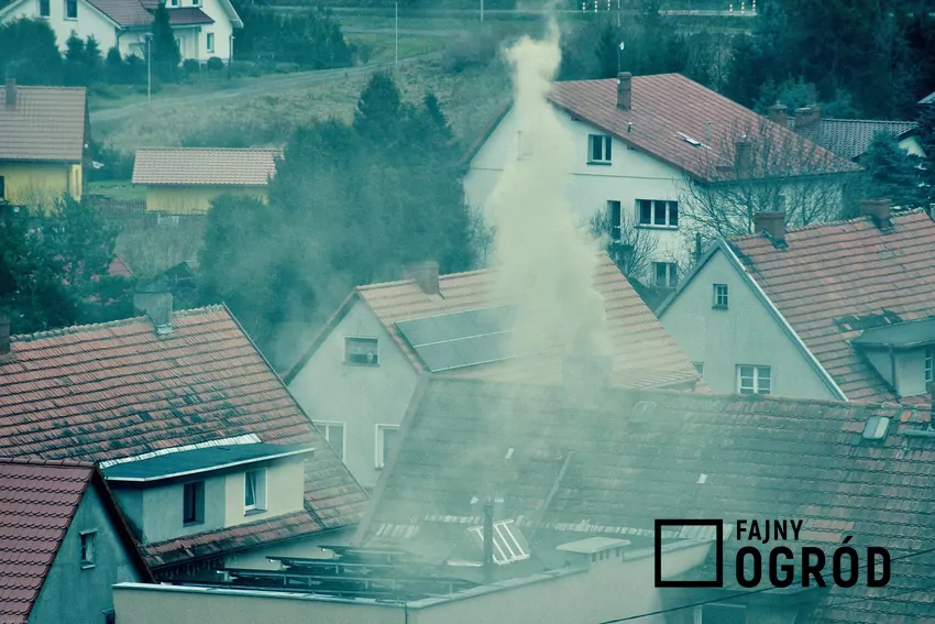 Choć wymiana kopciuchów to konieczność, warto dobrze zastanowić się, zanim wybierzemy alternetywę dym z komina