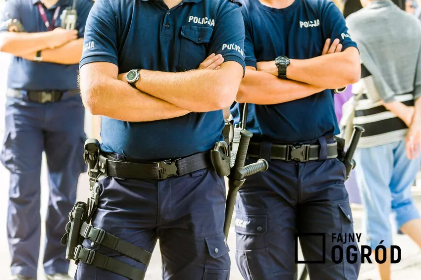 Dwaj stojący obok siebie policjanci