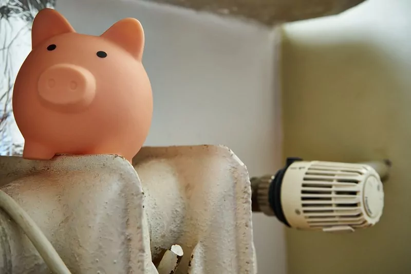 świnka skarbonka na grzejniku