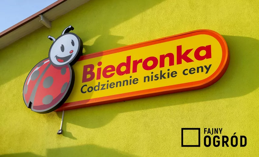 Biedronka