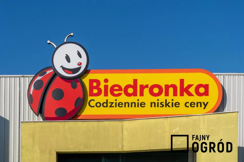 Przegląd gazetki Biedronki z dn. 23-28.03 Biedronka