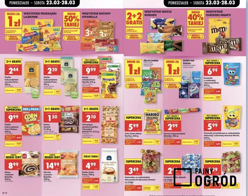 Promocje w Biedronce