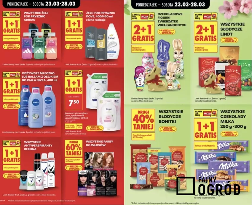 Promocje w Biedronce