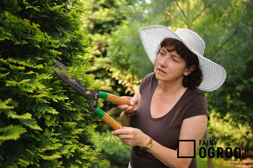 Planer ogrodniczy - darmowe narzędzie do planowania prac ogrodniczych