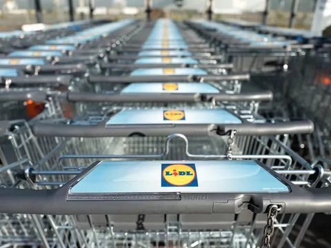 Pochodzenie ryb zLidla