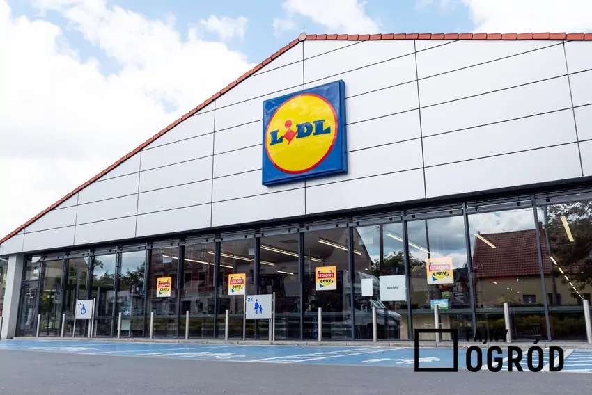 Lidl sklep