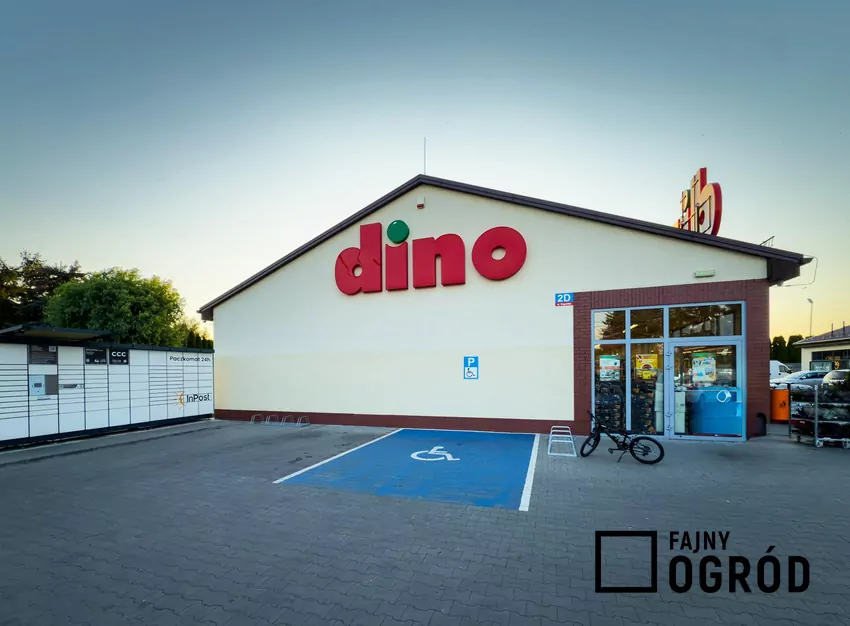 W nowej gazetce Dino dużo ciekawych promocji Dino