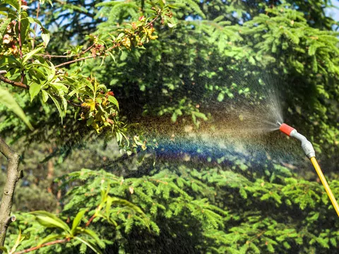 Wiosenne opryski drzew owocowych