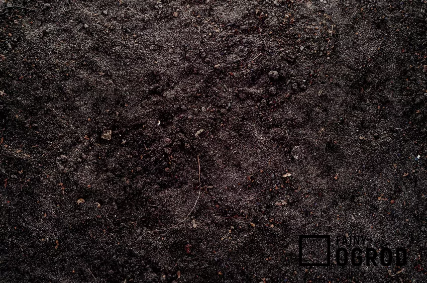 Zakwaszanie gleby: krok po kroku