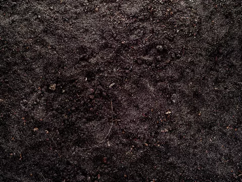 Zakwaszanie gleby: krok po kroku