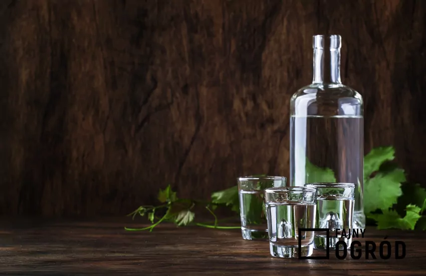 Bimber w butelce i samogon w kieliszkach, czyli produkcja bimbru w Polsce