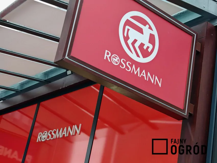 Promocja na kultowy zapach w Rossmannie