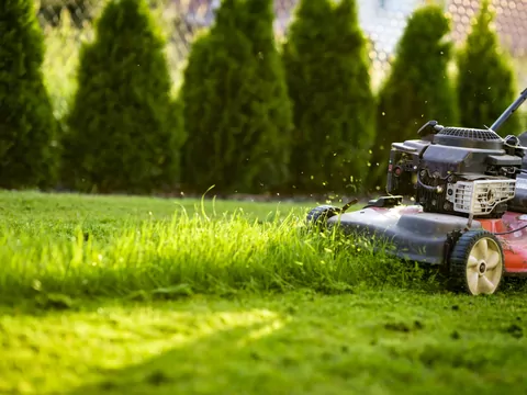 Koszenie trawników: 5 porad