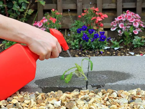 Preparaty chwastobójcze do ogrodu