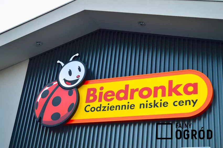 Biedronka