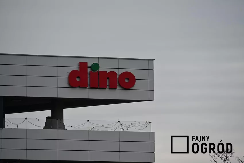 Promocja na masło w Dino