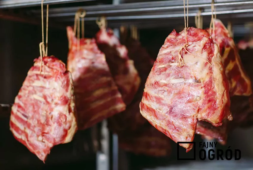 Boczek przygotowany do wędzenia w wędzarni, a także przepisy, porady, przygotowanie i składniki