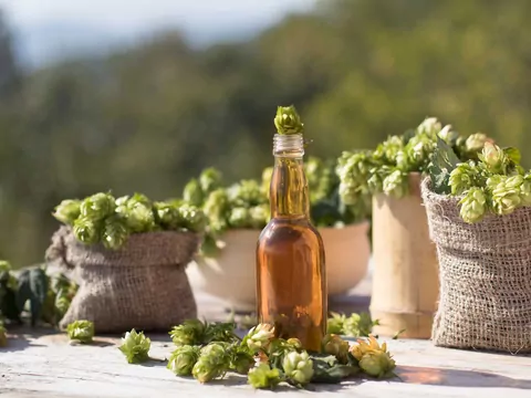 Składniki Piwa: Przewodnik dla Piwowara