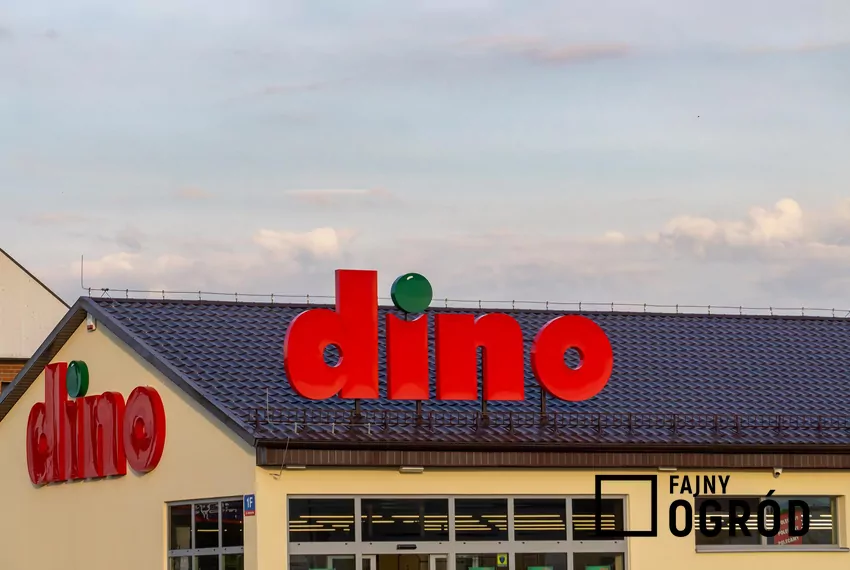 Promocja na kawę MK Cafe w Dino