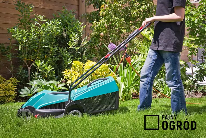 Koszenie trawy w ogrodzie przez mężczyznę oraz zalecana wysokość koszenia trawy i jej częstotliwość oraz pielęgnacja
