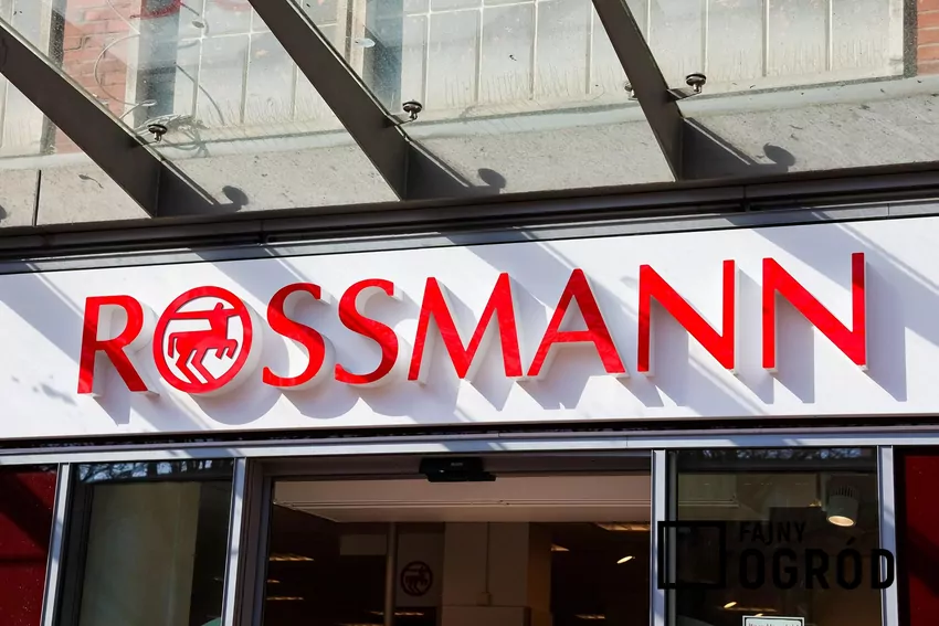 Promocja na kultowy zapach w Rossmannie