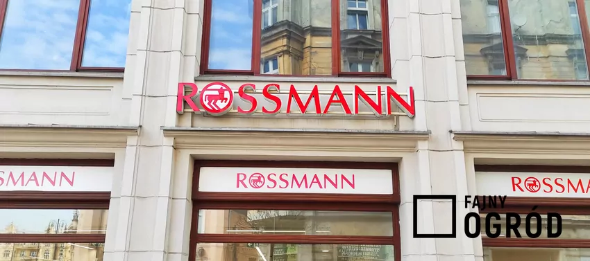 Promocja na kultowy zapach w Rossmannie