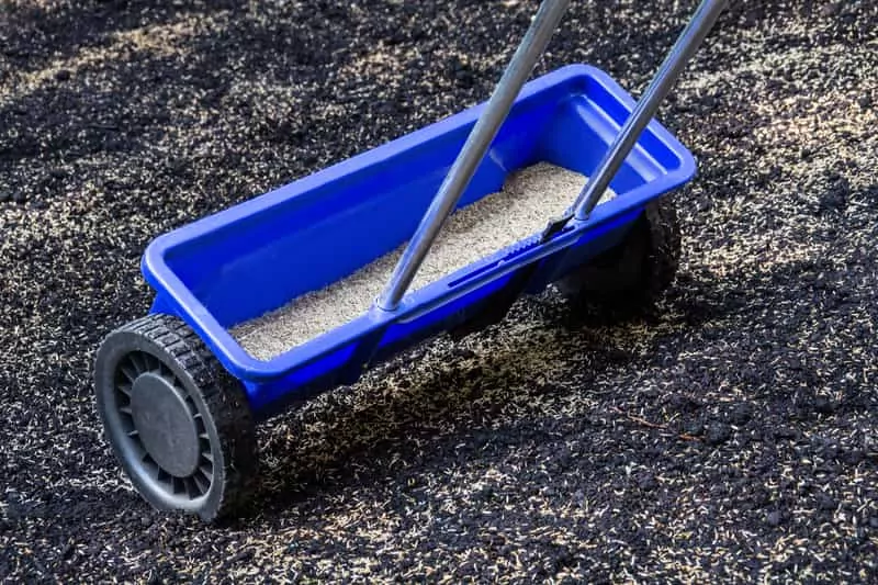 Wysiew trawy przy pomocy specjalnego siewnika na podłożu, a także najlepsza ziemia pod trawnik i jej zastosowanie krok po kroku